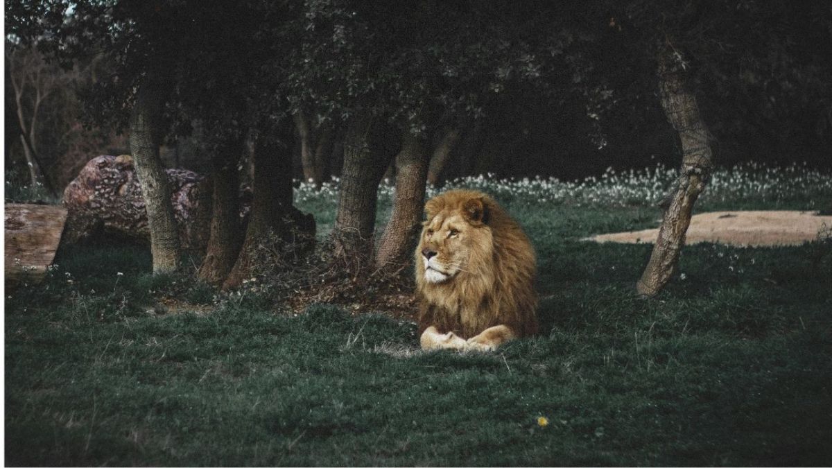 Siete Cualidades de un Hombre de&nbsp;Carácter